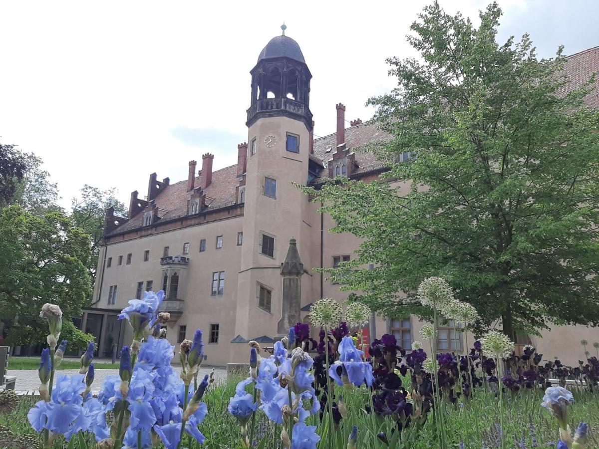 Fewo Rosenbluete Am Stadtpark Wittenberg Exterior foto